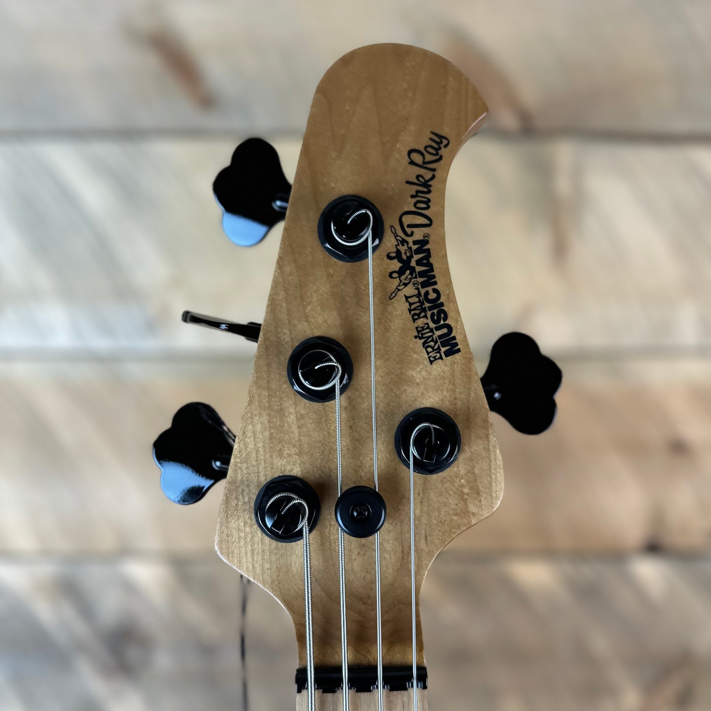 Ernie Ball Music Man Dark Ray Bass - Gold Bar S11878