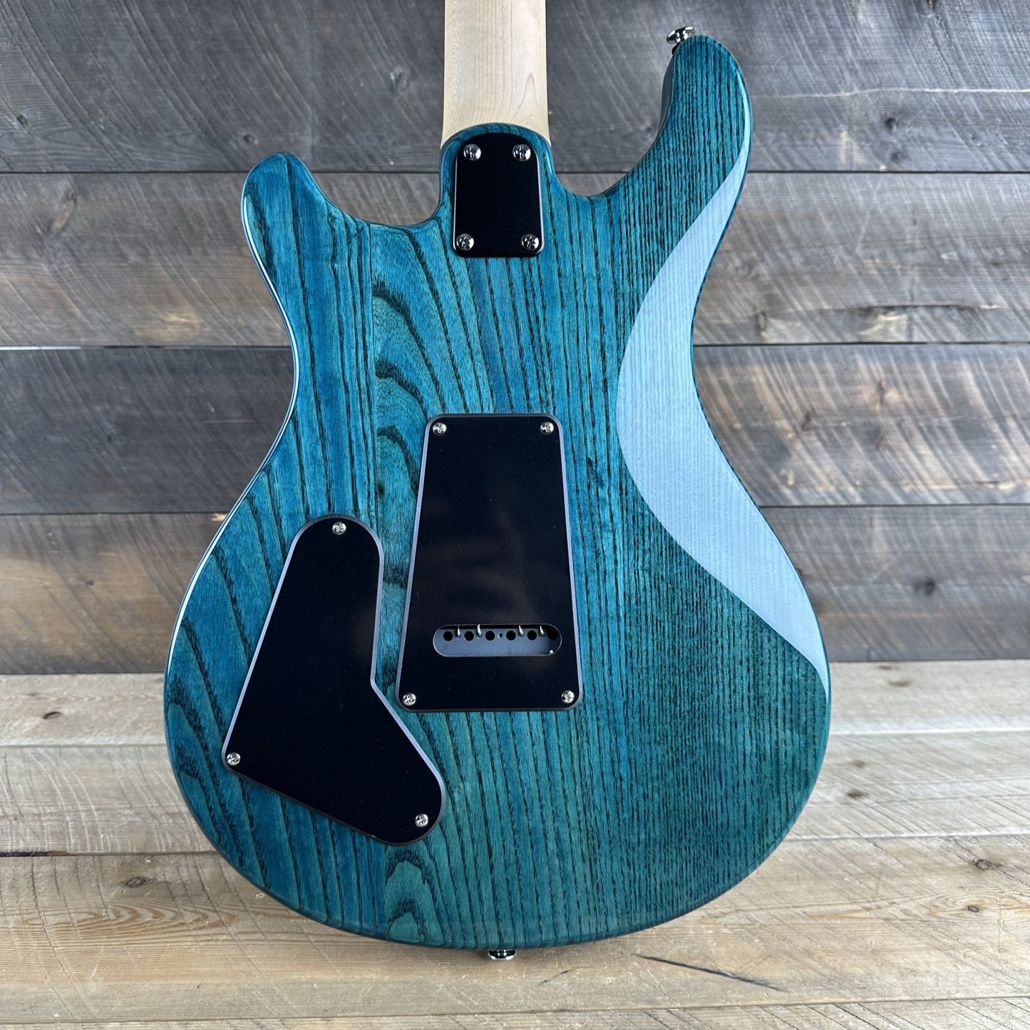 PRS SE Swamp Ash Special - Iri Blue 08826