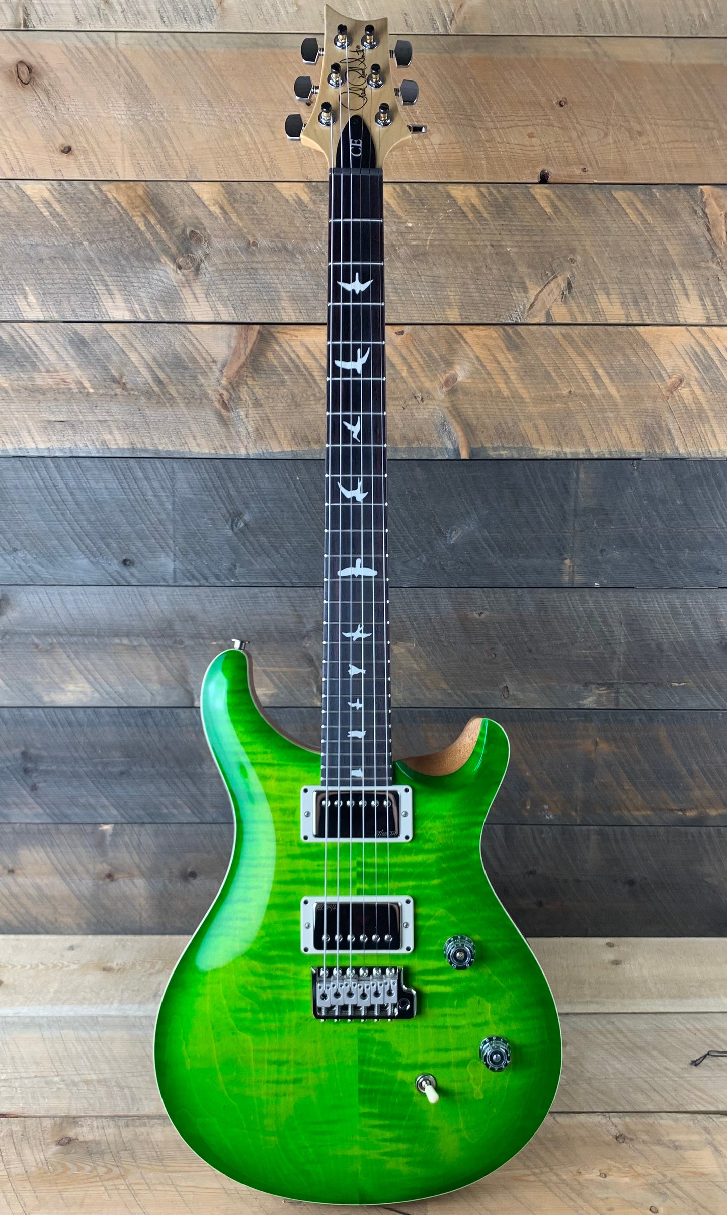 Floor Model PRS CE 24 TGS Spec. Limited 57/08 Pickups - Eriza Verde 359631